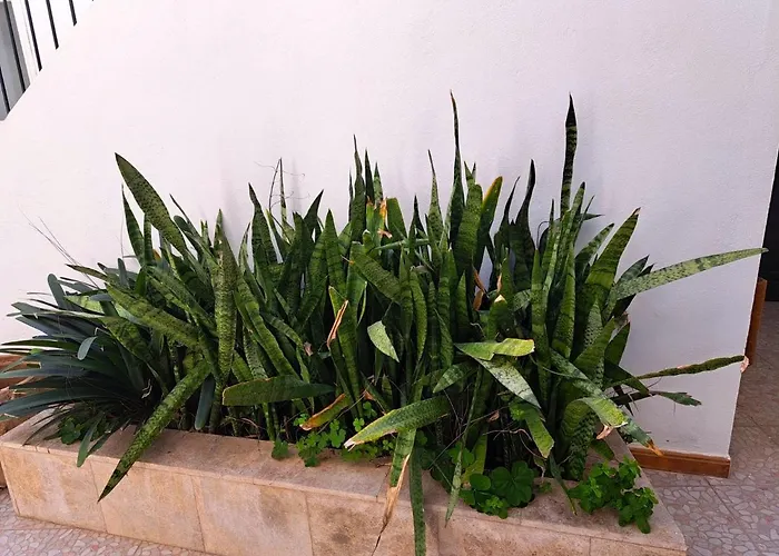 El Rinconcito De Noa Apartment