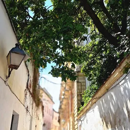 Apartment El Rinconcito De Noa Jerez de la Frontera