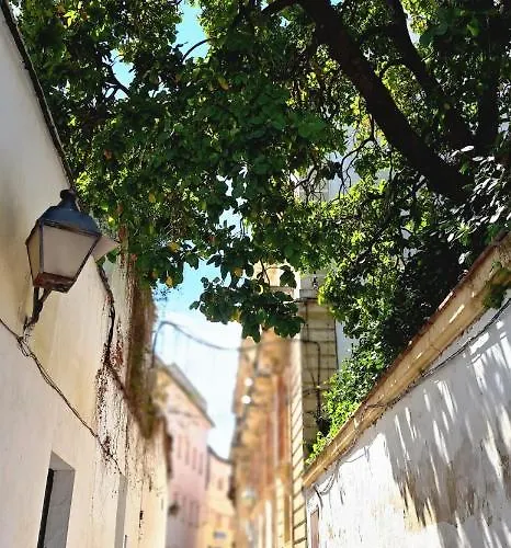 Apartamento El Rinconcito De Noa Jerez de la Frontera